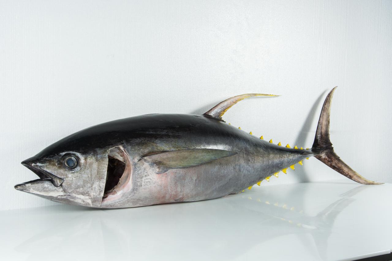 PHOTO-2025-09-03-14-49-15 3.jpg