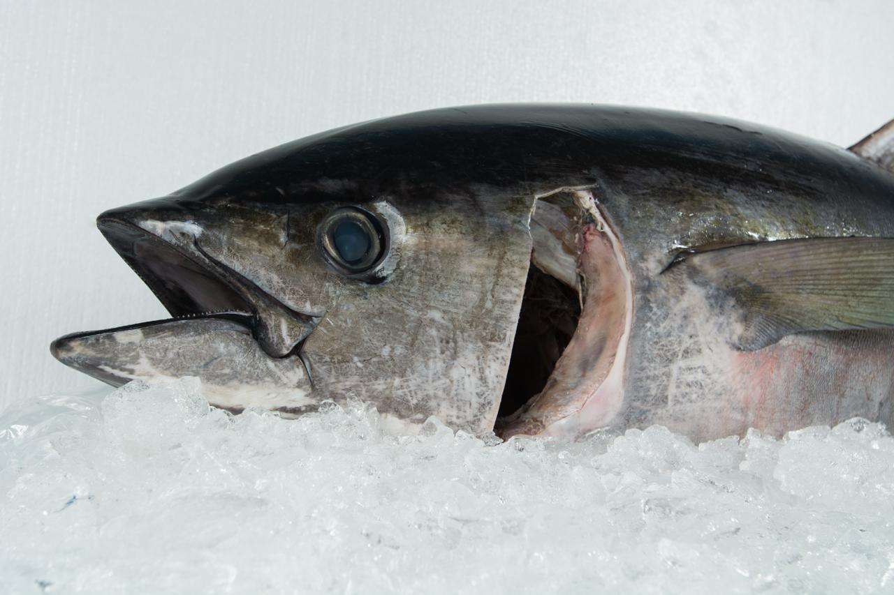 PHOTO-2025-09-03-14-49-17 4.jpg