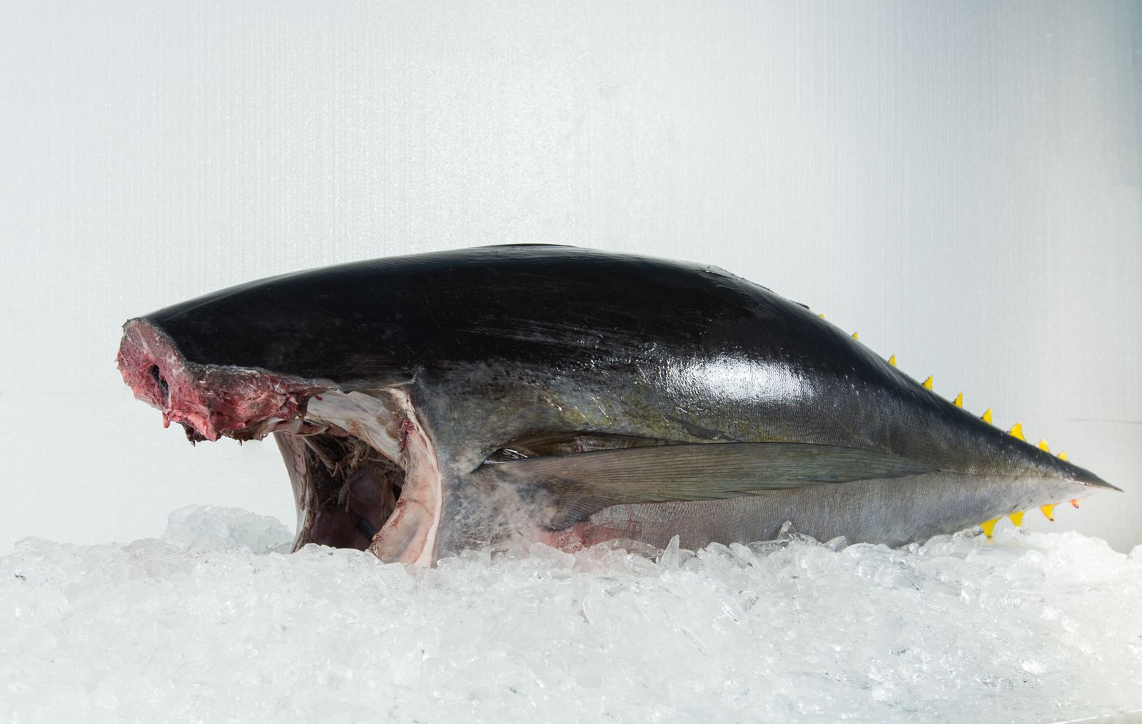 PHOTO-2025-09-03-14-49-18 2.jpg